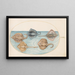 Planche 29, raie homelyn et quatre autres raies ou raies - Joris Hoefnagel — framed artwork on a wall