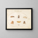 Platine Painting 31 Sept moths - Joris Hoefnagel — framed artwork on a wall