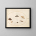 Platine 32 Six Papillons de Nuit - Joris Hoefnagel — framed artwork on a wall