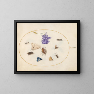 Platine Painting 33 Night butterfly and butterfly with other insects and a columbine flower - Joris Hoefnagel — framed artwork on a wall