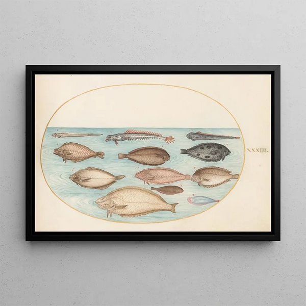 Planche 33 Sole and other flatfish with ribbon fish - Joris Hoefnagel — framed artwork on a wall