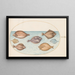 Planche 34 Sept poissons plats - Joris Hoefnagel — framed artwork on a wall