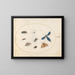 Plate 34 Two moths with a spider, a caterpillar, a damselfly, and other insects - Joris Hoefnagel — framed artwork on a wall