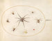 Platine 39 Eight spiders - Joris Hoefnagel — artwork view