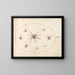 Platine 39 Eight spiders - Joris Hoefnagel — framed artwork on a wall