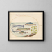Planche 39: Calmar, Gurnard, Brochet et autres poissons - Joris Hoefnagel — framed artwork on a wall