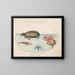 Plate 3: A morse, an octopus with nine tentacles, and a sunfish - Joris Hoefnagel — framed artwork on a wall