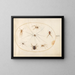 Platine Painting 40 Eight Spiders, including a crossed spider with an egg sac - Joris Hoefnagel — framed artwork on a wall