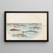 Planche 40 Salmon, trout and freshwater fish - Joris Hoefnagel — framed artwork on a wall