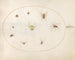 Plaque 41 Yellow spider surrounded by eight spiders - Joris Hoefnagel — artwork view