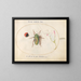 Plaque 42: Jewel beetle with a rosary dot and a oleander flower - Joris Hoefnagel — framed artwork on a wall