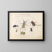 Planche 43: Scarabée musqué, scarabée huileux, scarabée de la tanaisie, cafard, punaise à pattes foliacées et autres insectes - Joris Hoefnagel — framed artwork on a wall