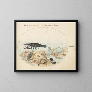 Platine Painting 44 Lobster, two crabs, scallop shells, and other marine life - Joris Hoefnagel — framed artwork on a wall