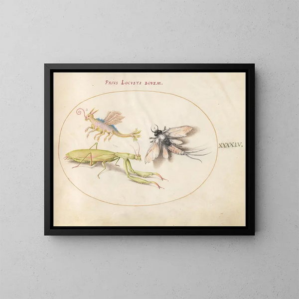 Platine 44 Mante, Éphémère et un Locuste Fictionnel - Joris Hoefnagel — framed artwork on a wall