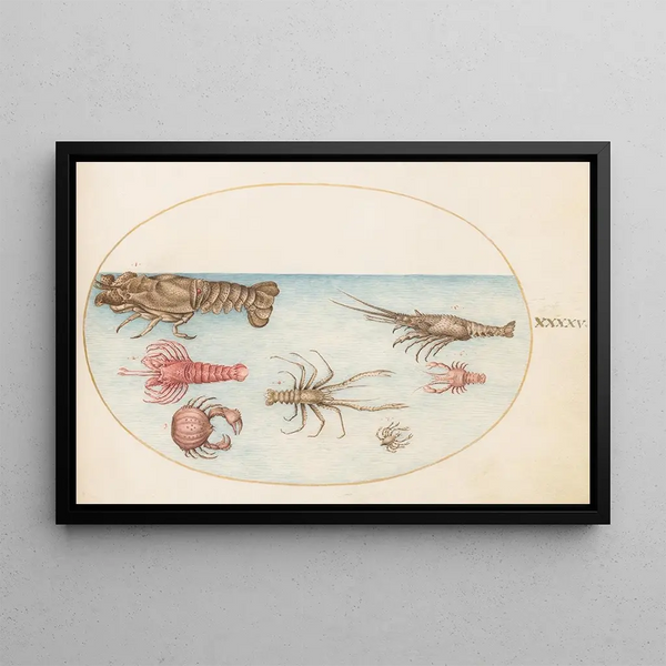 Planche 45 Homard Squilla Mantis et autres crustacés - Joris Hoefnagel — framed artwork on a wall