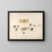 Plant Painting 47 A dragonfly, an damselfly, grasshoppers, houseflies, a necrophagous beetle, a flowering longhorn beetle, and other insects - Joris Hoefnagel — framed artwork on a wall