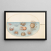 Planche 47, Neuf Crabes - Joris Hoefnagel — framed artwork on a wall