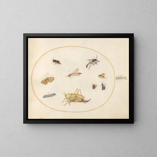 Plant Painting 49 A Grasshopper, a Caterpillar, a Butterfly, a Moth, and Other Insects - Joris Hoefnagel — framed artwork on a wall