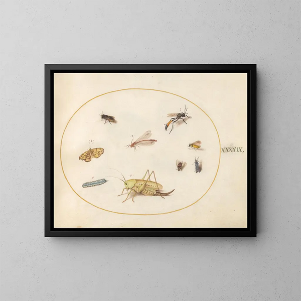 Plant Painting 49 A Grasshopper, a Caterpillar, a Butterfly, a Moth, and Other Insects - Joris Hoefnagel — framed artwork on a wall