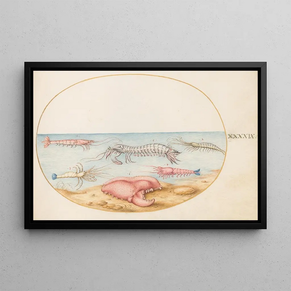 Plate 49: Shrimp and European crayfish clamp and pincers - Joris Hoefnagel — framed artwork on a wall