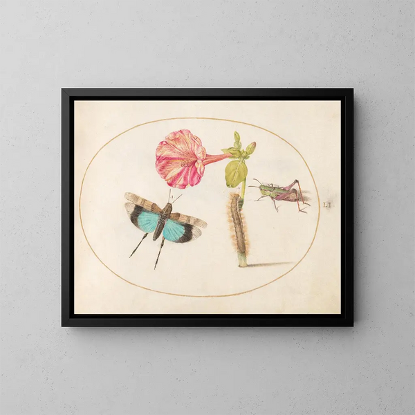 Platine 51 Sauterelles et une chenille avec une fleur de quatre heures - Joris Hoefnagel — framed artwork on a wall