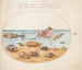 Platine 52 An Argonaut, hermit crabs, shells, and a crab - Joris Hoefnagel — artwork view