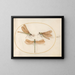 Plaque 55 Three Green Maidens with Brown Wings - Joris Hoefnagel — framed artwork on a wall