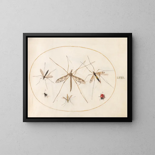 Platine 57 A ladybug, a fly, and four other insects - Joris Hoefnagel — framed artwork on a wall