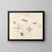 Platine Painting 58 A bee and five other insects - Joris Hoefnagel — framed artwork on a wall