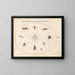 Plant 60 Flies and other insects - Joris Hoefnagel — framed artwork on a wall