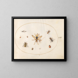 Platine 62 Ten insects - Joris Hoefnagel — framed artwork on a wall