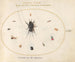 Platinum Painting 65 A cricket surrounded by insects, including a ruby-tailed wasp - Joris Hoefnagel — artwork view