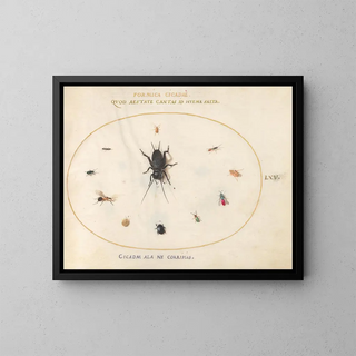 Platinum Painting 65 A cricket surrounded by insects, including a ruby-tailed wasp - Joris Hoefnagel — framed artwork on a wall