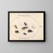 Platine 67 Sept insects including a white butterfly and a bee - Joris Hoefnagel — framed artwork on a wall