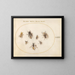 Platine Painting 68 Sept bees and flies - Joris Hoefnagel — framed artwork on a wall