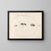 Platine Painting 71 Two wasps and a guinea pig - Joris Hoefnagel — framed artwork on a wall