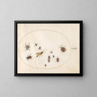 Platine Painting 72: Shield bugs, cinnamon bug, wasp, and other insects - Joris Hoefnagel — framed artwork on a wall