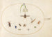 Plate 77 Spot fly with a white flower, a mayfly, a blue weevil, and other insects - Joris Hoefnagel — artwork view