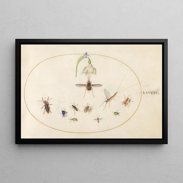 Plate 77 Spot fly with a white flower, a mayfly, a blue weevil, and other insects - Joris Hoefnagel — framed artwork on a wall