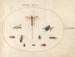Plate 78 Ten insects including a blue fly - Joris Hoefnagel — artwork view