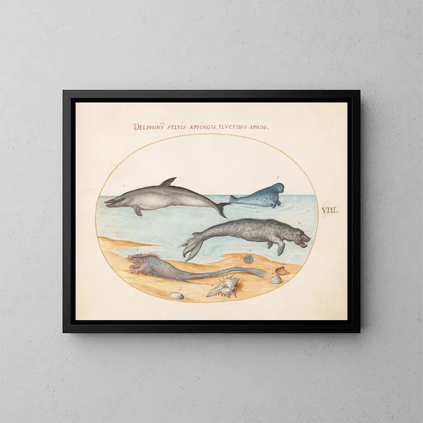 Platine Painting 8: A dolphin, two seals, a bréchet, and seashells - Joris Hoefnagel — framed artwork on a wall