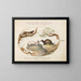 Fouine, vison et hermine - Joris Hoefnagel — framed artwork on a wall