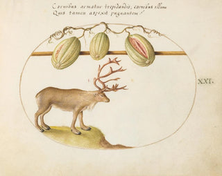 Reindeer with melons - Joris Hoefnagel — artwork view