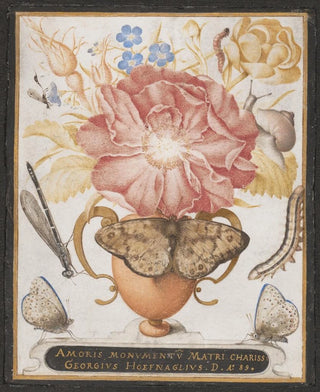 Joris Hoefnagel - Still Life with Flowers a Snail and Insects.webp