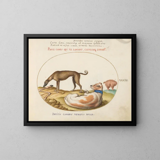 Three Dogs, One Imitator - Joris Hoefnagel — framed artwork on a wall