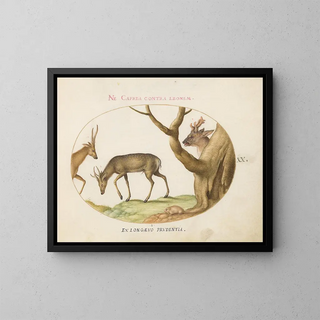 Trois types de cerfs avec un loir - Joris Hoefnagel — framed artwork on a wall