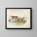 Two otters and a beaver - Joris Hoefnagel — framed artwork on a wall