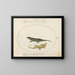 Two Sand Lizards - Joris Hoefnagel — framed artwork on a wall