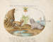 Two Small Dogs with an Imperial Crown - Joris Hoefnagel — artwork view