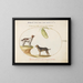 Two Spaniels with a Water Bottle - Joris Hoefnagel — framed artwork on a wall